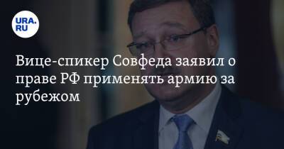 Вице-спикер Совфеда заявил о праве РФ применять армию за рубежом