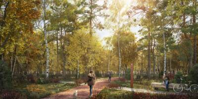 Собянин показал проект экологической реабилитации парков на северо-западе Москвы