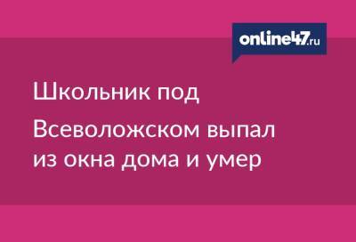 Школьник под Всеволожском выпал из окна дома и умер