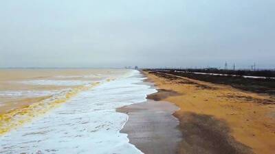 Черное море окрасилось в золотой цвет (видео)