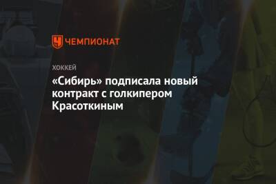 «Сибирь» подписала новый контракт с голкипером Красоткиным