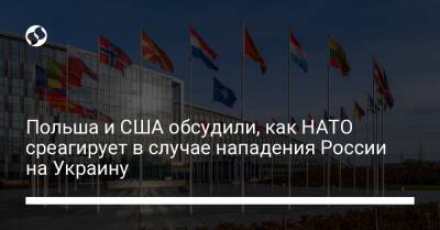 Анджей Дуды - Якуб Кумох - Польша и США обсудили, как НАТО среагирует в случае нападения России на Украину - liga.net - Россия - США - Украина - Польша
