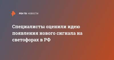 Специалисты оценили идею появления нового сигнала на светофорах в РФ