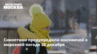 Синоптики предупредили москвичей о морозной погоде 28 декабря