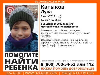 «Лиза Алерт» просит помощи в поисках восьмилетнего мальчика из Петербурга