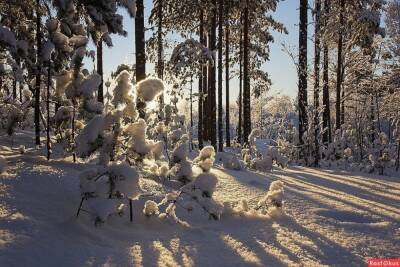 В последнюю среду года в Архангельской области будет снежно