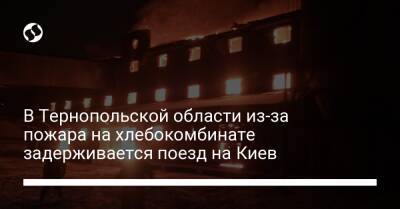 В Тернопольской области из-за пожара на хлебокомбинате задерживается поезд на Киев