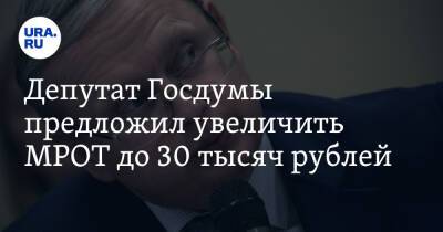 Депутат Госдумы предложил увеличить МРОТ до 30 тысяч рублей