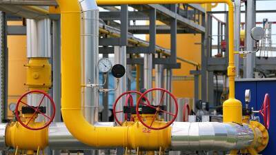 В МИД России оценили перспективы транзита газа через Украину после 2024 года