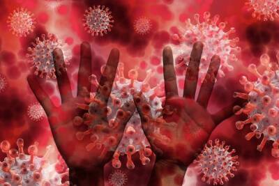 В Чувашии плюс 72 новых больных коронавирусом, 16 человек умерли
