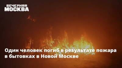 Один человек погиб в результате пожара в бытовках в Новой Москве