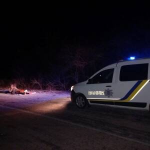 В ДТП с ВАЗ в Киевской области погиб подросток. Фото