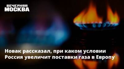 Новак рассказал, при каком условии Россия увеличит поставки газа в Европу