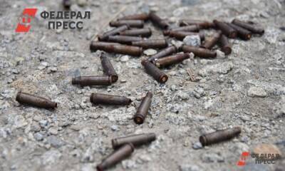 У 80-летней жительницы Новосибирска нашли оружейный склад