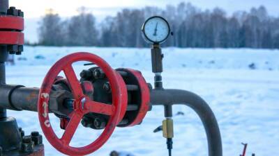 В Германии заявили о выполнении Россией своих контрактных обязательств по поставкам газа