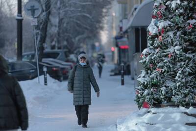 В первую неделю января в Свердловской области будет относительно не холодно и снежно