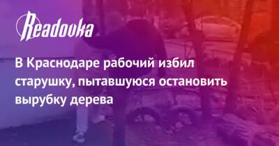 В Краснодаре рабочий избил старушку, пытавшуюся остановить вырубку дерева - readovka.news - Краснодар - Краснодар