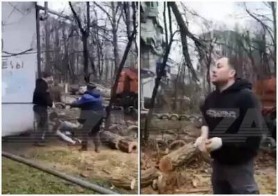 В Краснодаре коммунальщик избил пенсионерку за попытку остановить вырубку дерева