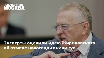 Эксперты оценили идею Жириновского об отмене новогодних каникул