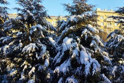 29 декабря в Саратове синоптики ожидают снег