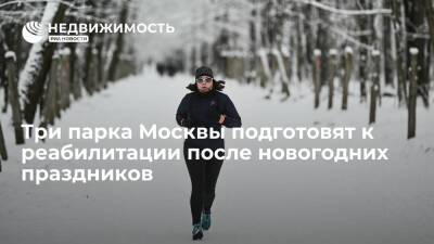 Три парка Москвы подготовят к реабилитации после новогодних праздников