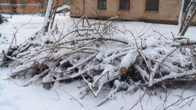 В Заводском районе кучи веток остались брошенными на обочине