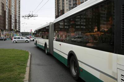 От Старого Петергофа до «Проспекта Ветеранов» пустят прямой автобус в 2022 году