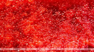 Гомельчанка нелегально продавала красную икру - belta.by - Белоруссия - Гомель