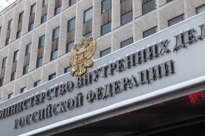 В МВД напомнили о возможном выдворении мигрантов, работающих в РФ незаконно