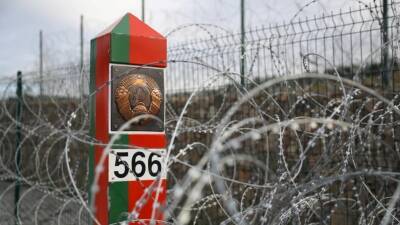 Германия сообщила о более 11 тысячах нелегальных мигрантов, «связанных с Беларусью»