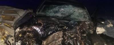 В Омской области в ДТП с грузовиком пострадала семья из пяти человек