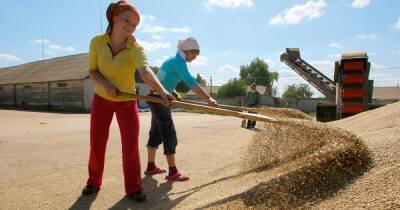 Год изобилия. Каким был 2021-й для украинского АПК и какие планы аграрии строят на 2022