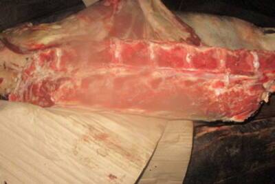 5 тонн мяса с санитарными нарушениями пытались провезти в Псковскую область