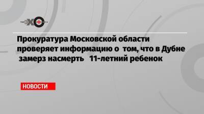 Прокуратура Московской области проверяет информацию о том, что в Дубне замерз насмерть 11-летний ребенок