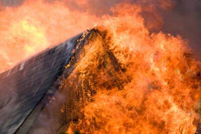 Пара пенсионеров сгорели в пожаре в Лужском районе