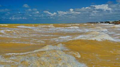 ФОТОФАКТ: Черное море у берегов Крыма окрасилось в необычный золотистый цвет