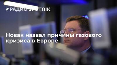 Вице-премьер РФ Новак назвал причины газового кризиса в Европе