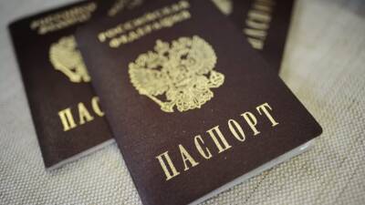 В МВД России не увидели оснований для предоставления банкам доступа к истории паспортов