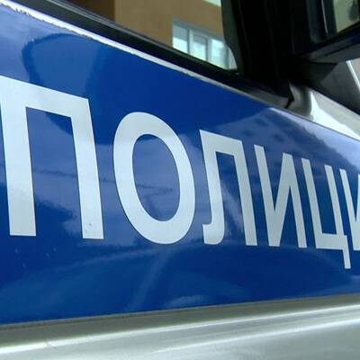 В Петербурге задержан таксист, сломавший нос главе муниципалитета Швецу