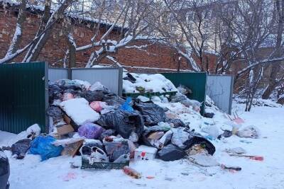 Жители улицы Кольцова в Рязани пожаловались на невывезенный мусор