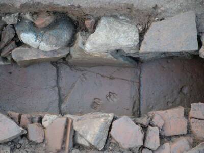 Археологи обнаружили остатки древних зданий на Корсике, построенных между 1 и 5 веками (Фото)