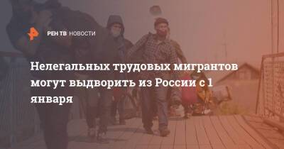 Нелегальных трудовых мигрантов могут выдворить из России с 1 января