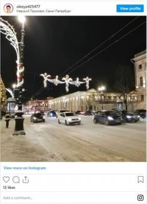 Смольный забыл очистить от снега "спальники" Петербурга перед приездом Путина