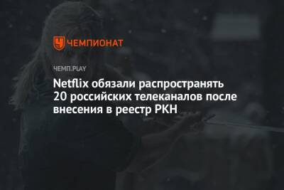Netflix обязали распространять 20 российских телеканалов после внесения в реестр РКН