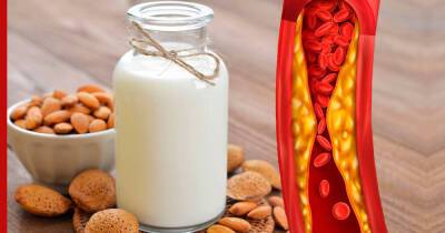 Как снизить холестерин: популярный продукт на завтрак посоветовали заменить врачи