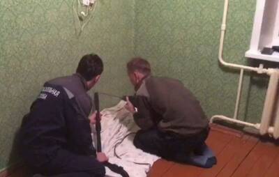В Смоленске из вентиляции девятиэтажки спасли провалившуюся кошку