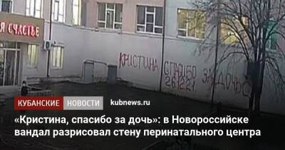 «Кристина, спасибо за дочь»: в Новороссийске вандал разрисовал стену перинатального центра