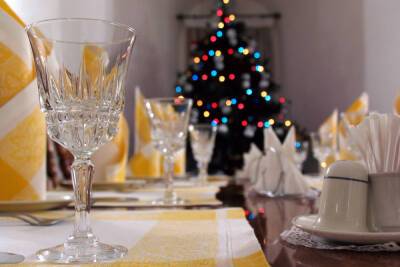Россиян научили вежливо выпроваживать засидевшихся в новогоднюю ночь гостей