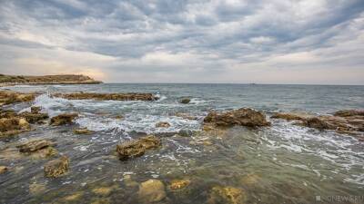 Черное море в Крыму стало желтым