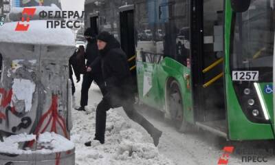 В Петербурге от снега убрали только маршрут для делегаций саммита СНГ